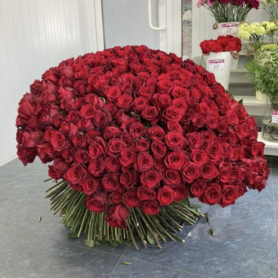 Букеты из красных роз 80 см (Эквадор) код товара  14544