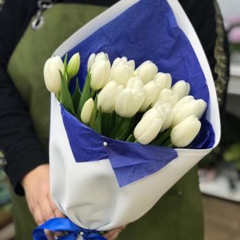 Белые тюльпаны 23 шт. код  24156