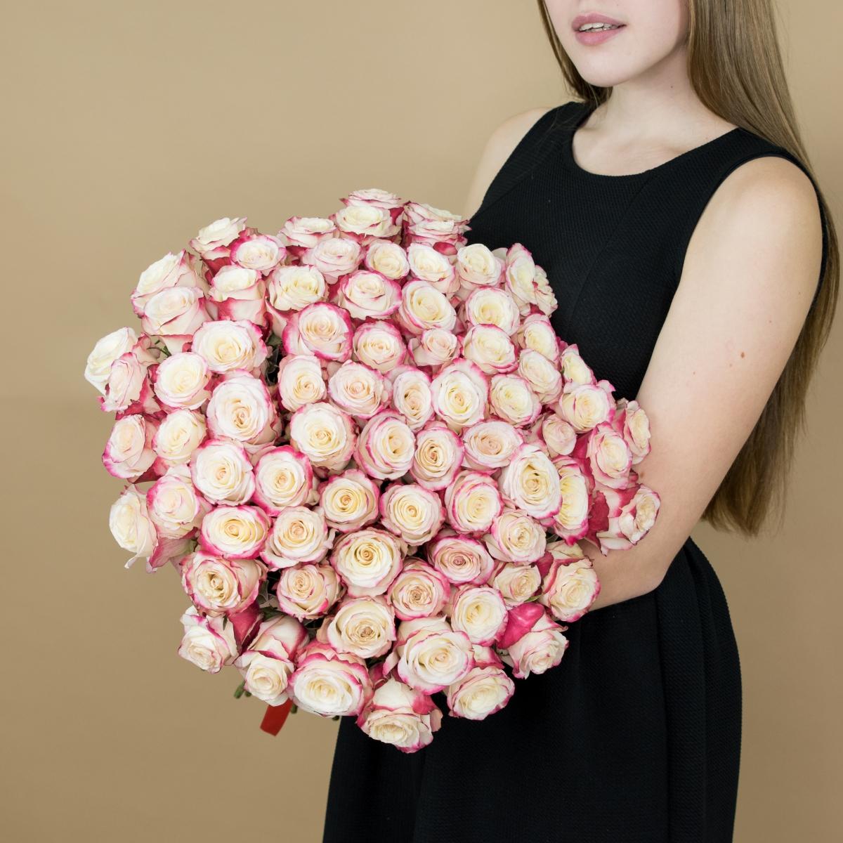 Розы красно-белые 101 шт. (40 см) артикул букета: 6408