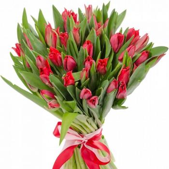 Красные тюльпаны 25 шт articul  10440